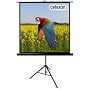 Celexon Stativleinwand Economy 184 x 184 cm