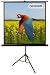 Produkt-Bild: Celexon Stativleinwand Economy 184 x 184 cm