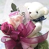 �y5/8�����w��z��ɑ���v���U�[�u�h�t�����[2009�@�ԑ�����y�k�C���E�l���E��B�ɂ��͂������R�P�T�~�z�����N�}����@�s���N�̉ԑ��@�P�[�X����y��̓��M�t�g�z