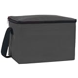 Ensign Peak Insulated Cooler Bag