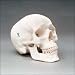 Mad Skullz