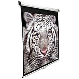 Elitescreens M136XWS1