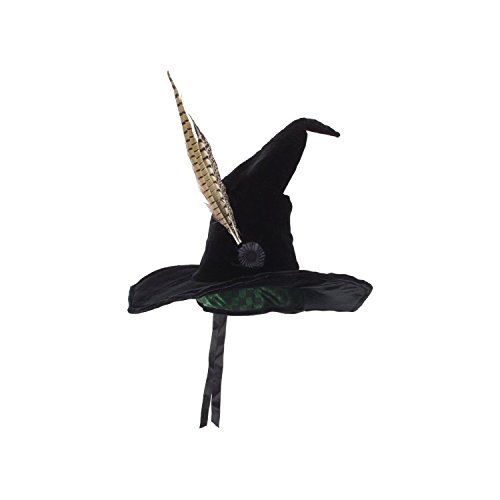 Elope Boys Harry Potter Professor McGonagall Deluxe Child Hat