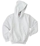 Hanes 8 oz Youth Hooded Sweatshirt (P470)