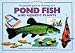 Barrons Books Essential Guide to Choosing your Pond Fish and Aquatic Plants