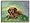 Dachshund