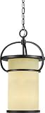 Ontario Collection 18 1/2 High Outdoor Hanging Light