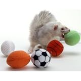 31QA Jp YuL. SL160  Marshall Ferret Sport Balls Reviews