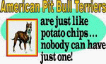 American Pit Bull Terriers are Just Like potato Chips Nobody can have Just One 11 oz. White Mug