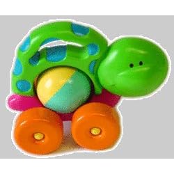 Nature Sensations Push Along Turtle