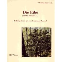 Die Eibe (Taxus baccata L.)