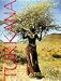 Books : Turkana: Kenya's Nomads of the Jade Sea