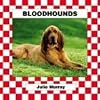 Bloodhounds (Dogs Set V.)
