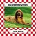 Bloodhounds (Dogs Set V.)