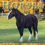 Horses 2009 Calendar