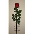 luxury red single rose bud stem beautiful ideal wedding valentines day bud vase artificial flower