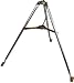 Electronics : Philips Accessories #TP3 3' Gold Antenna Tripod