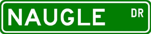 NAUGLE Street Sign ~ Personalized Family Lastname Sign ~ Gameroom, Basement, Garage Sign **