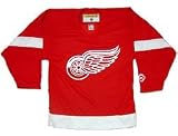 Detroit Red Wings Youth Replica NHL Team Color Jersey