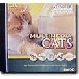 WEBSTER MULTIMEDIA CATS