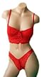 Closeout on Red Sexy Soft Lace Up Front Crop Top Bra and Matching Panty