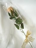 Long-Stemmed Gold-Foiled Truffle Roses in Sleeves & Bows, Case of 36