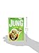 Introducing Jung: A Graphic Guide (Graphic Guides)