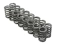 Brian Crower (BC1100 2G ECLIPSE-TALON) Valve Springs - 4G63 - Single Valve Springs (16)