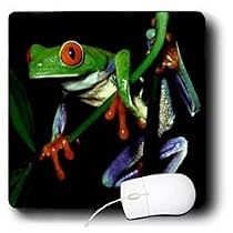 Frogs - Frog - Mouse Pads