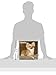 Chihuahua Calendar - Breed Specific Chihuahua Calendar - 2015 Wall calendars - Dog Calendars - Monthly Wall Calendar by Avonside