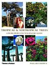 Tropical & Subtropical Trees