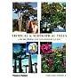 Tropical and Subtropical Trees: A Worldwide Encyclopaedic Guide