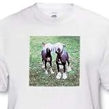 Dogs Chinese Crested Hairless - Chinese Crested Hairless - T-Shirts