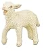 Lamb
