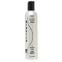 Biosilk Silk Therapy Smoothing Shampoo, Packaing May Vary, 12-Ounce Bottles (Pack of 2)