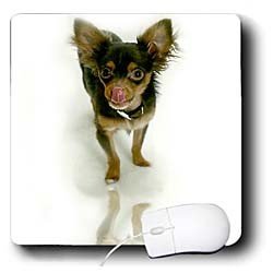 image link -  - B000EFH1XK