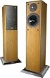 EPOS M 15.2 Floor Standing Loudspeakers