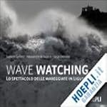 Wave watching. Lo spettacolo delle ma...