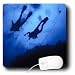 Kike Calvo Underwater Life - scuba diving in the great reef barrier in Queensland, Australia - Mouse Pads