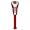 NC State Wolfpack