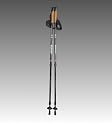 schwarze Nordic-Walking St&ouml;cke Aluminium