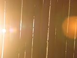 IMAGE OF Natural Lines on Fences with Lens Flare Stretched Canvas Poster Print, 30x40