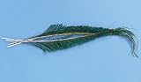 Fishing: Peacock Swords