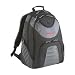 Targus Rogue Laptop Backpack (up to 15.4in Notebooks)