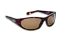 Fisherman Eyewear Pro Rogue Guideline Sunglass (Tortoise Frame, Brown Lens)