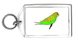 Keychain with budgie, parakeet, bird, animal