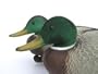 Aero Outdoors Velvet Feather Mallard Duck Head Flocking Kit