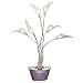 LumiSource Cala Table Lamp