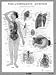 The Lymphatic System Chart
