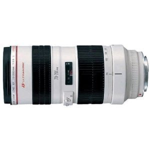 Canon EF 70-200mm f/2.8L USM Telephoto Zoom Lens for Canon SLR Cameras